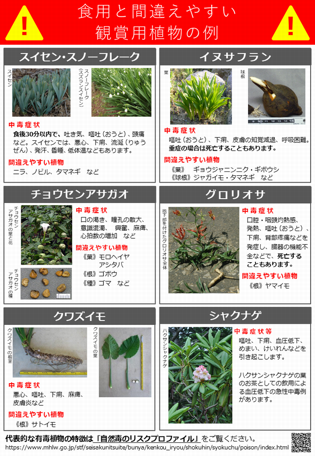 リーフレッ：観葉植物の誤食に注意2