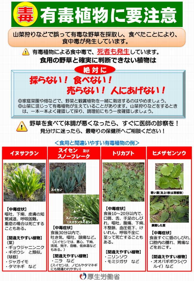 リーフレット：有毒植物に要注意