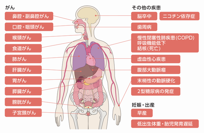 たばこの害