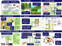 国立感染症研究所のダニ対策