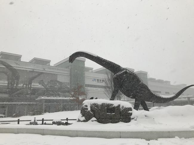 雪が降る福井駅前