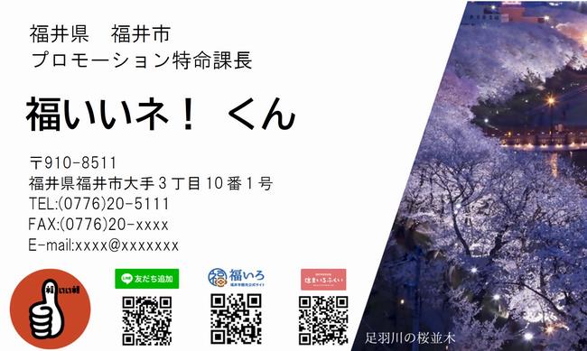 足羽川の桜並木（夜桜）