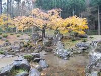 秋の諏訪館跡庭園