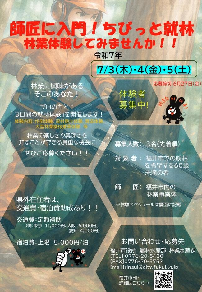 チラシ表