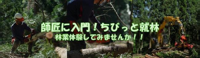 タイトル
