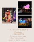 フォトコン5