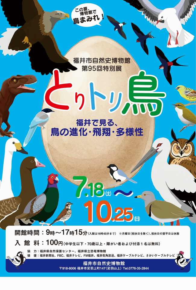 鳥展チラシ画像