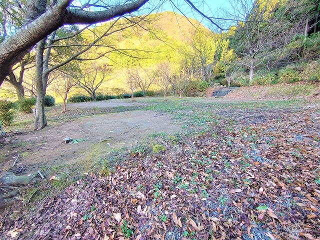 ガラガラ山越前水仙の里キャンプ場について 福井市ホームページ