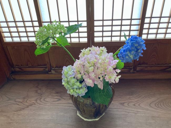 あじさい写真4
