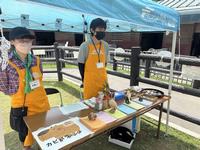 クイズラリー受付の様子