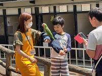 インコのふれあいの様子