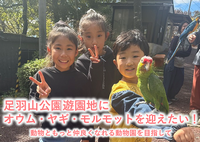 クラウドファンディング