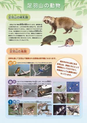 足羽山の動物