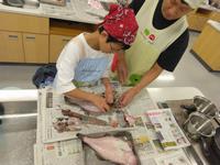 パパとトライ!かんたん魚さばき体験