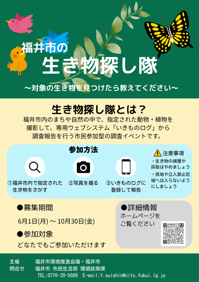 ちらし（生き物探し隊）