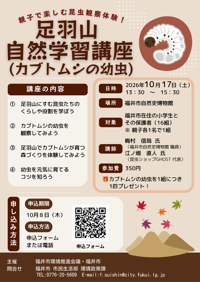 チラシ