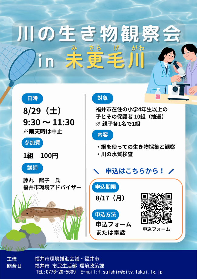 ちらし
