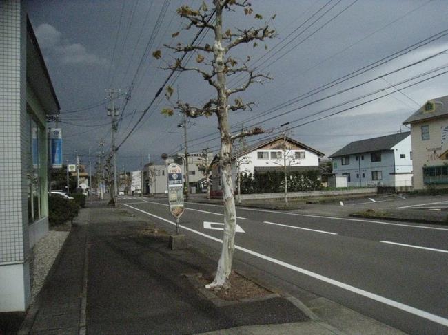 街路樹の桝内の清掃後