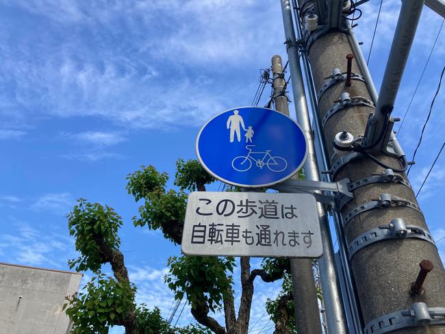 標識写真