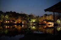 養浩館庭園ライトアップの写真