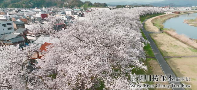 福井らしい景観