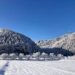 美山の冬