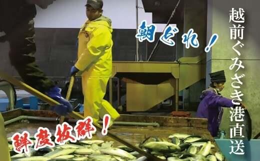 甲羅盛画像1