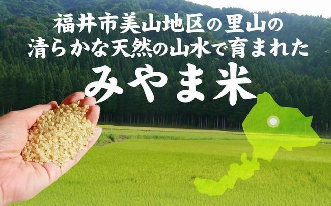 甲羅盛画像2