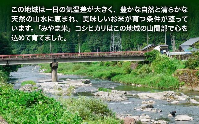 甲羅盛画像1