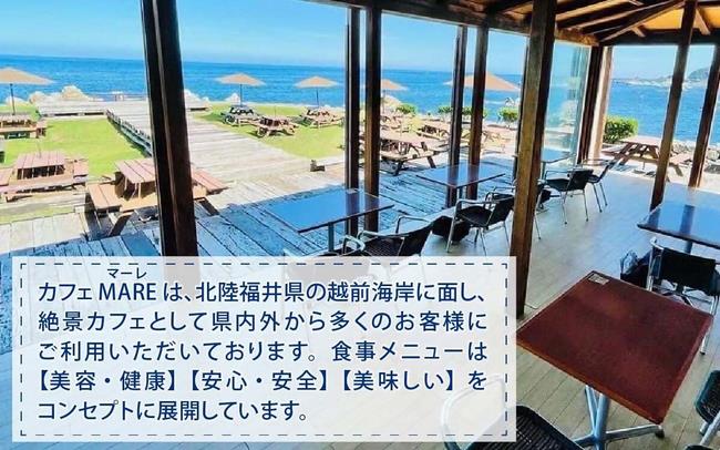 甲羅盛画像1