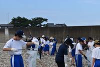 写真1