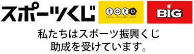 toto_new