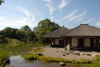 夏の養浩館庭園