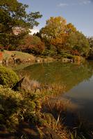 秋の養浩館庭園