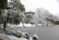 雪と庭園