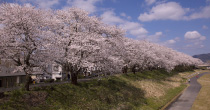 自然・風景・景観（画像）
