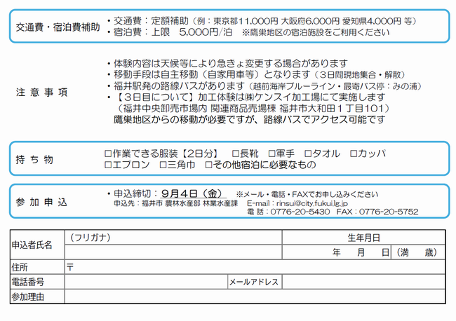 チラシ裏