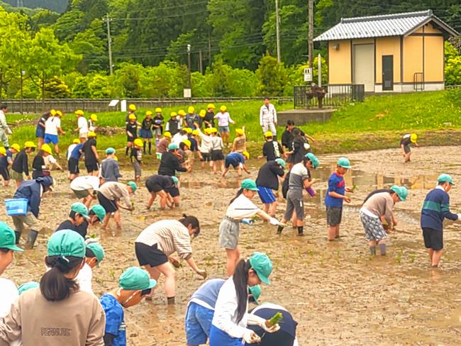田植えR7-1