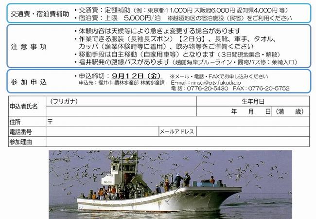 チラシ裏