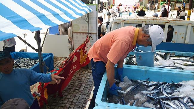 朝獲れ魚詰め放題