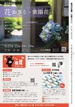 6月号裏表紙