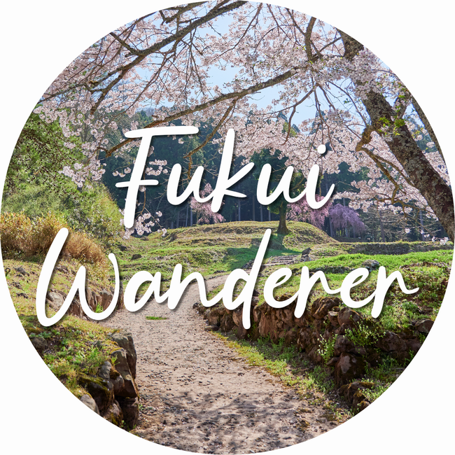 fukui.wandererアイコン