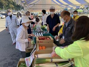 越廼　膳野菜